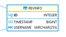 custom revision properties